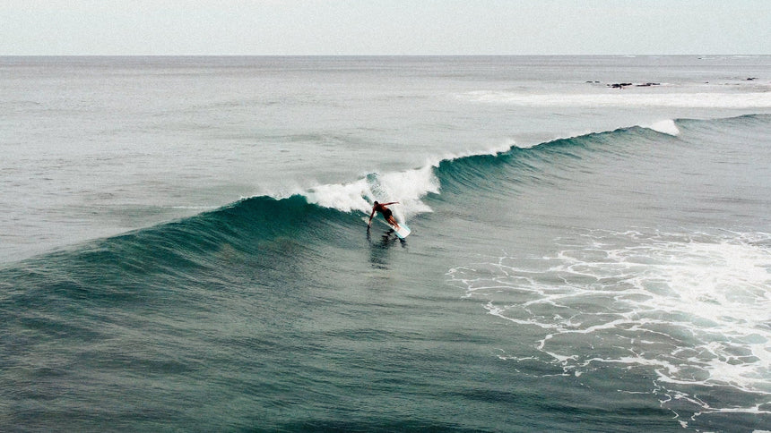 Roger Hinds Renaissance 10'0" - Planche De Surf Longboard