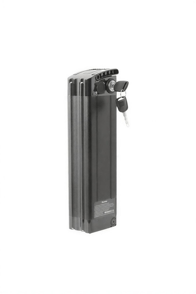 Batterie MOD AAFrame BatteryVoltaway