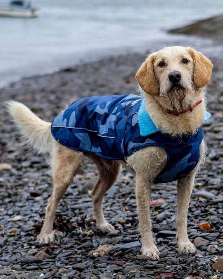 Dog Coat - Veste pour chien Bleu Camo / BleuPonchosDryrobe