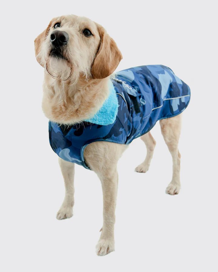 Dog Coat - Veste pour chien Bleu Camo / BleuPonchosDryrobe