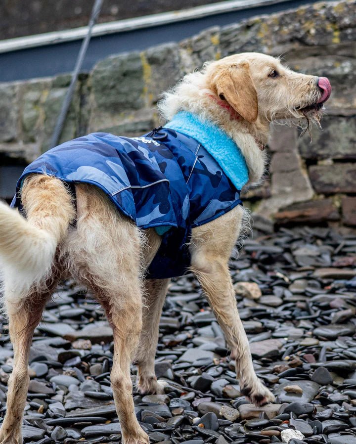 Dog Coat - Veste pour chien Bleu Camo / BleuPonchosDryrobe
