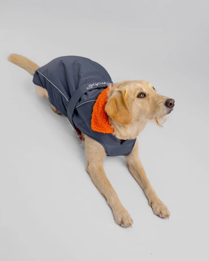 Dog Coat - Veste pour chien Gris / OrangePonchosDryrobe