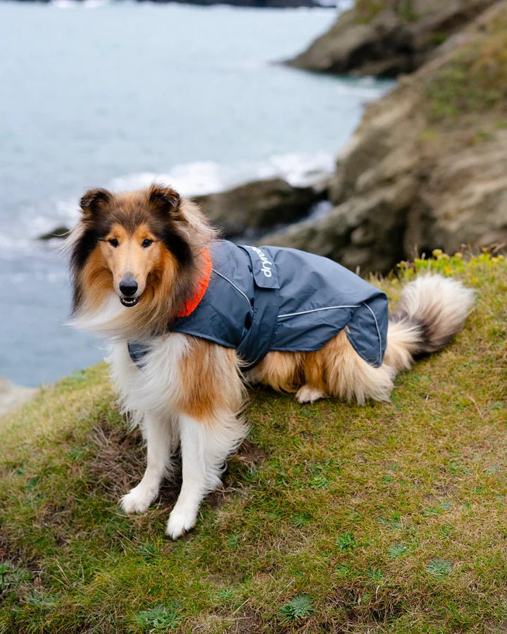 Dog Coat - Veste pour chien Gris / OrangePonchosDryrobe