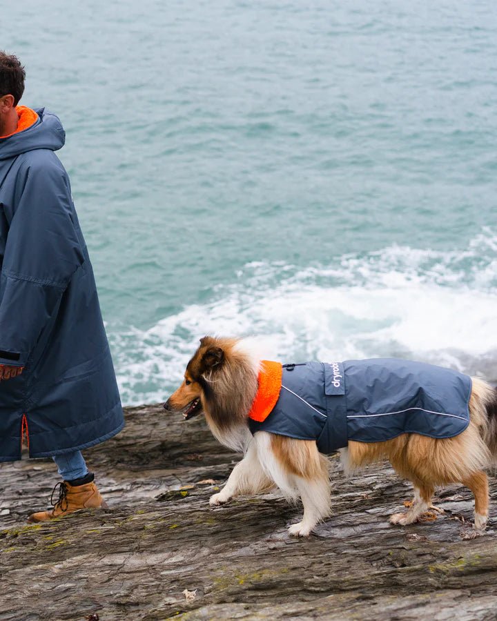 Dog Coat - Veste pour chien Gris / OrangePonchosDryrobe