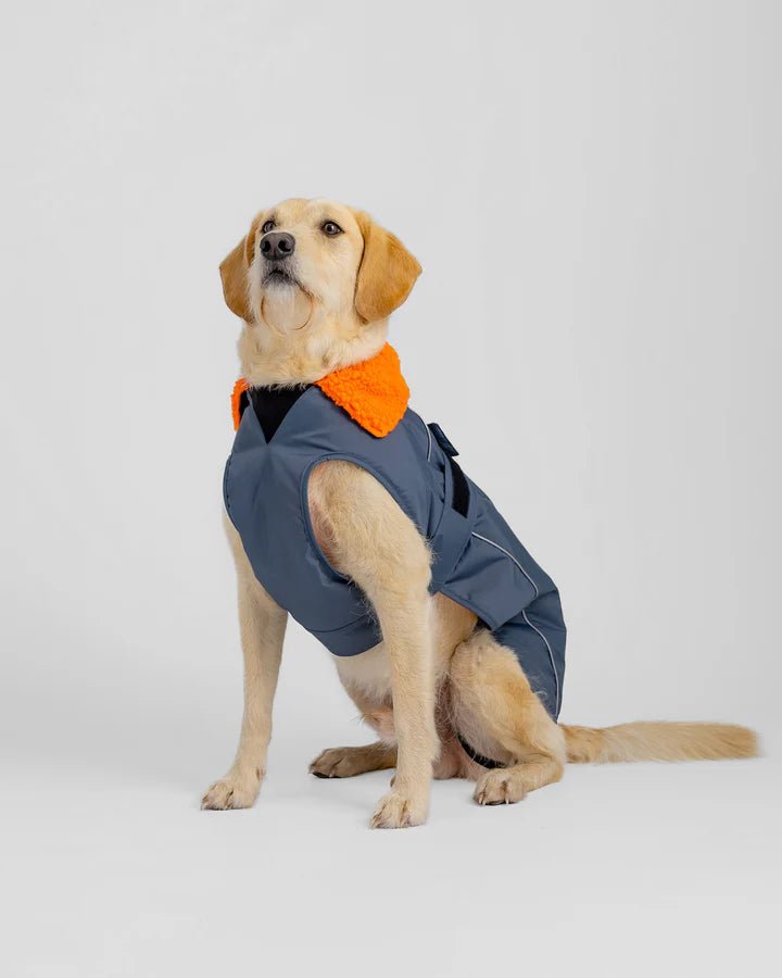 Dog Coat - Veste pour chien Gris / OrangePonchosDryrobe