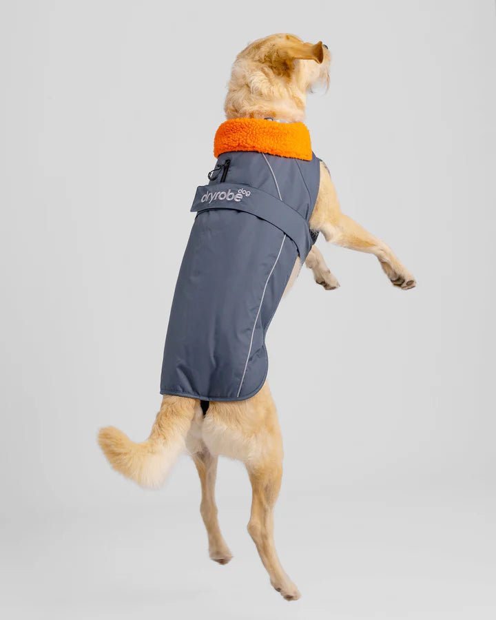 Dog Coat - Veste pour chien Gris / OrangePonchosDryrobe