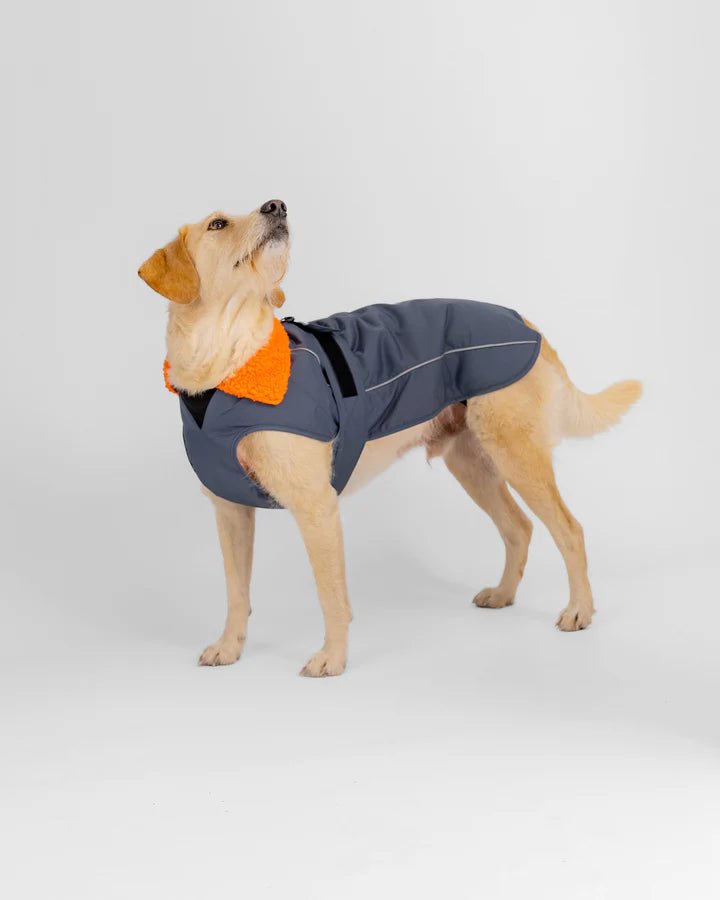 Dog Coat - Veste pour chien Gris / OrangePonchosDryrobe