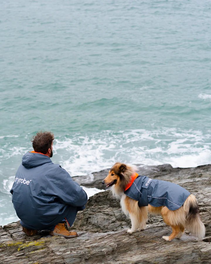 Dog Coat - Veste pour chien Gris / OrangePonchosDryrobe