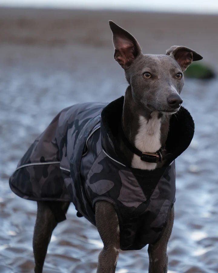 Dog Coat - Veste pour chien Noir Camo /NoirPonchosDryrobe