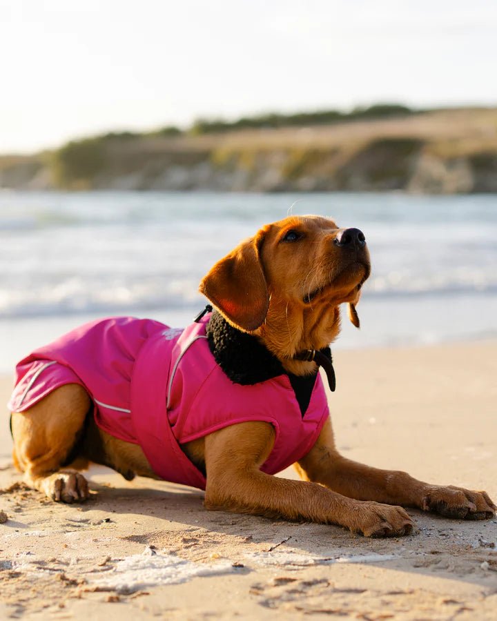Dog Coat - Veste pour chien Rose / NoirPonchosDryrobe