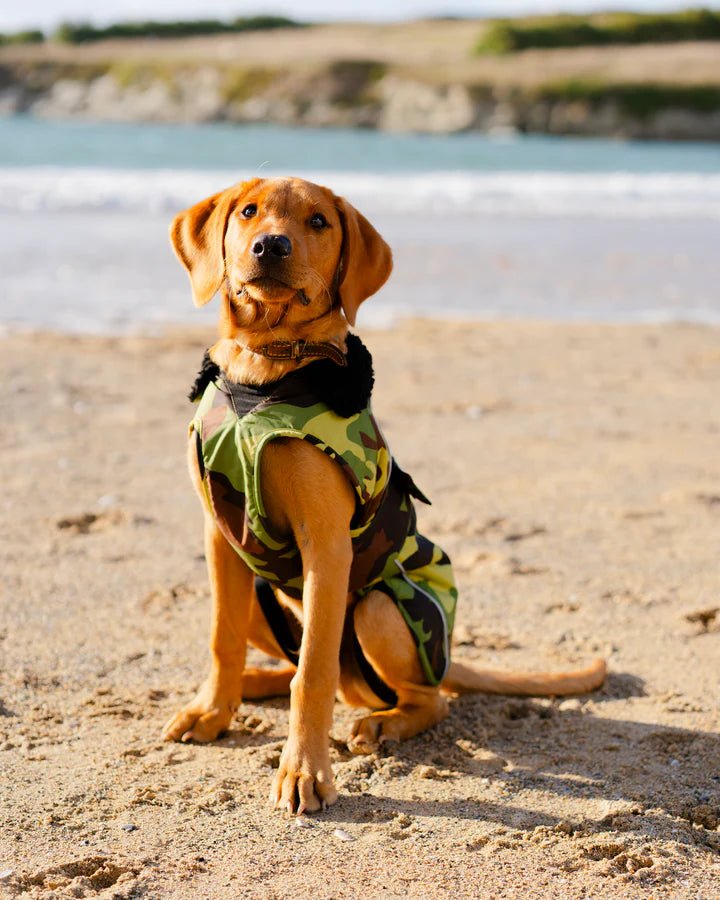 Dog Coat - Veste pour chien Vert Camo / NoirPonchosDryrobe