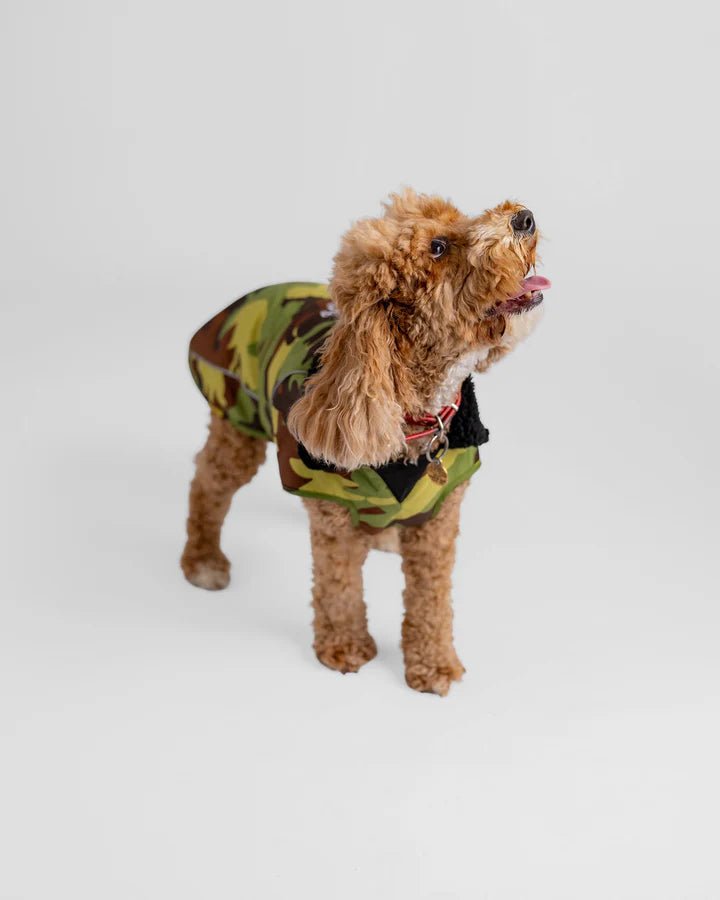 Dog Coat - Veste pour chien Vert Camo / NoirPonchosDryrobe