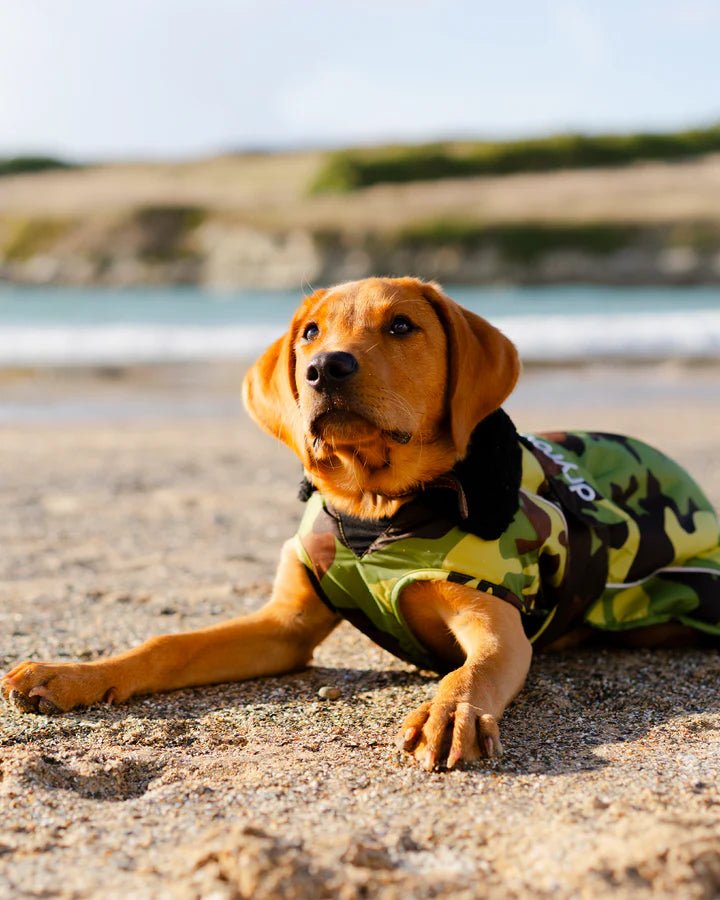 Dog Coat - Veste pour chien Vert Camo / NoirPonchosDryrobe
