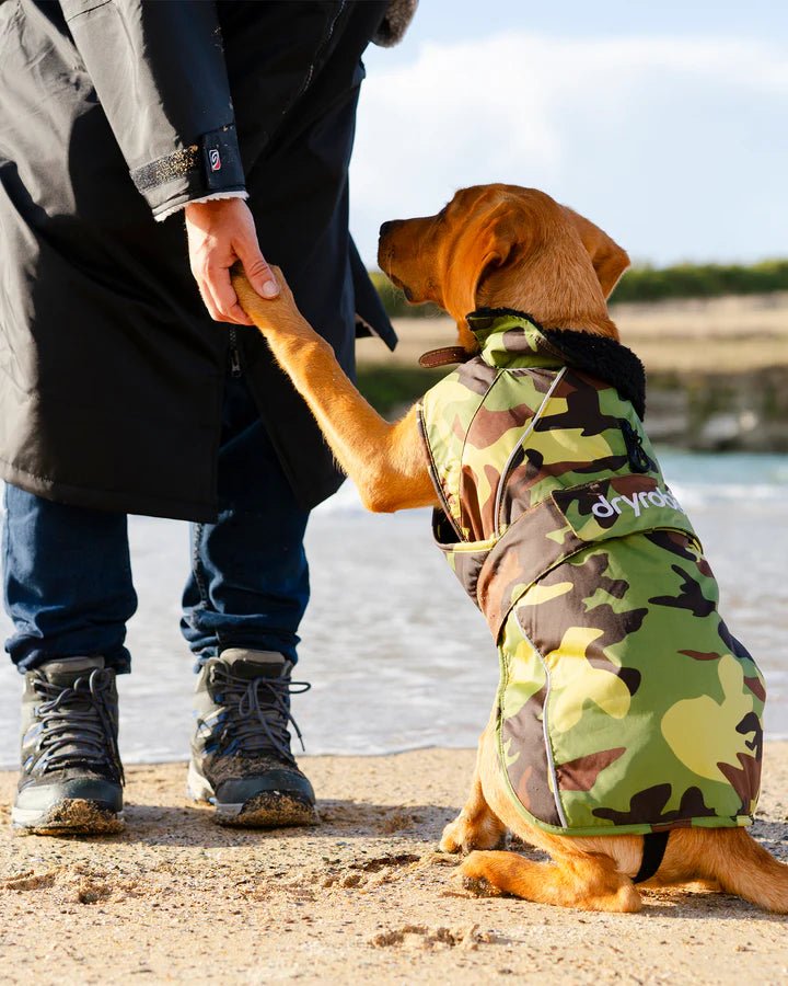 Dog Coat - Veste pour chien Vert Camo / NoirPonchosDryrobe