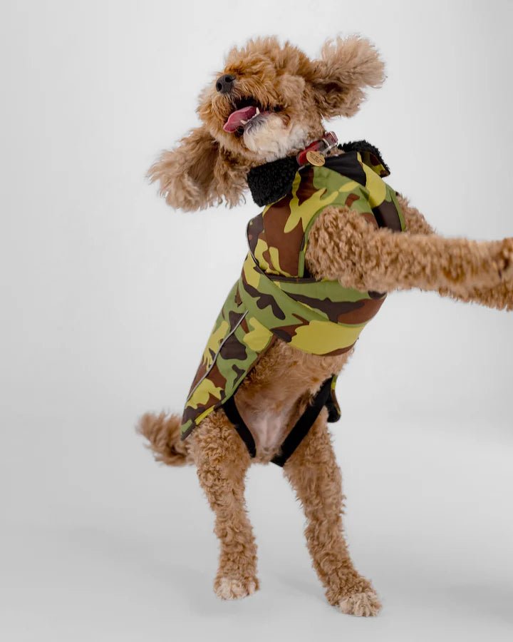 Dog Coat - Veste pour chien Vert Camo / NoirPonchosDryrobe