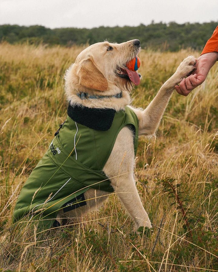 Dog Coat - Veste pour chien Vert / NoirPonchosDryrobe