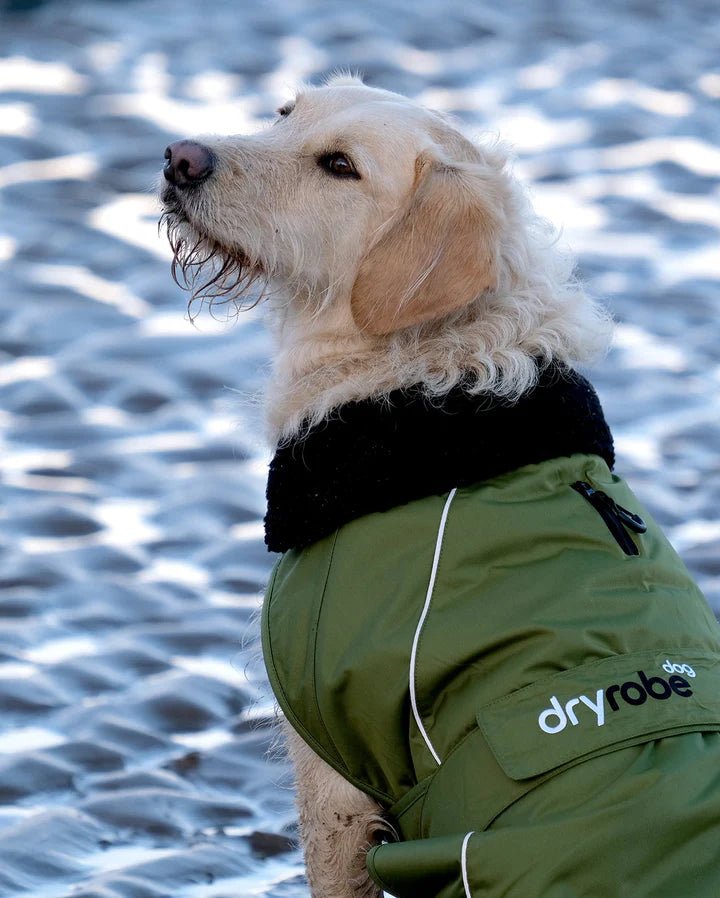 Dog Coat - Veste pour chien Vert / NoirPonchosDryrobe