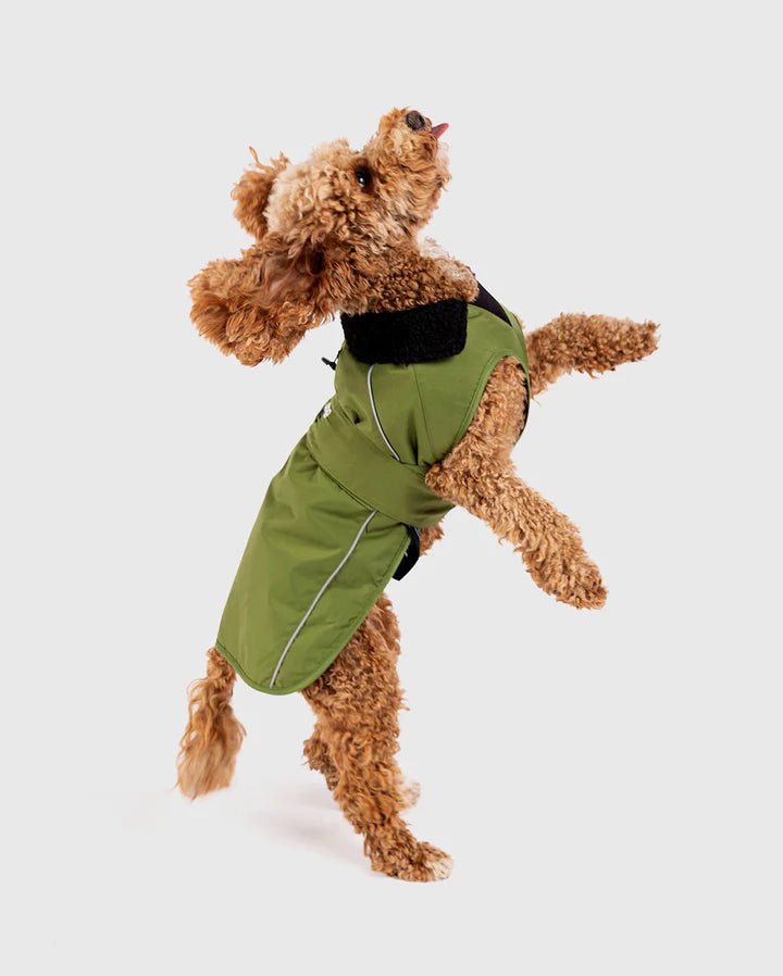 Dog Coat - Veste pour chien Vert / NoirPonchosDryrobe