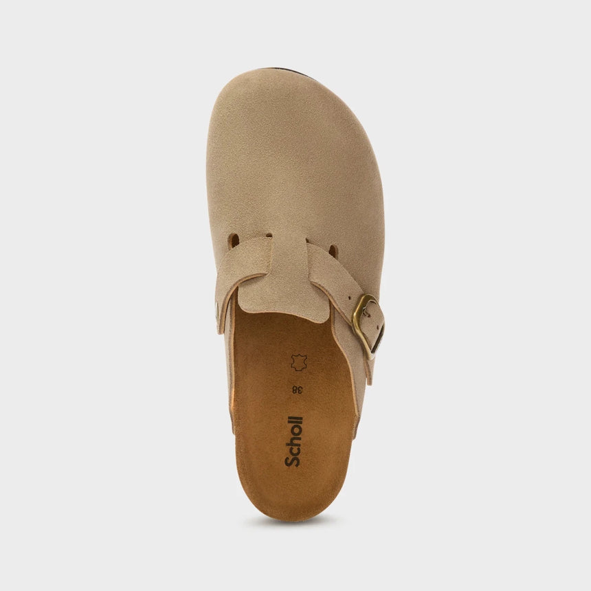 Fae Suede - Mules FemmeMulesScholl