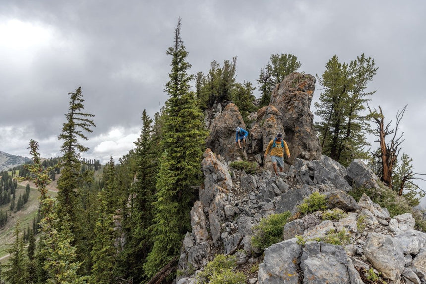 Fitz Roy Icon Uprisal Sweatshirt Col Rond Unisexe#SweatsPatagonia