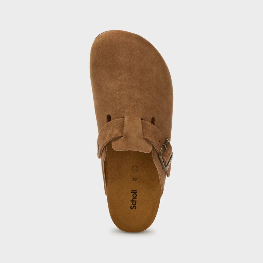 Olivier Suede - Mules HommeMulesScholl