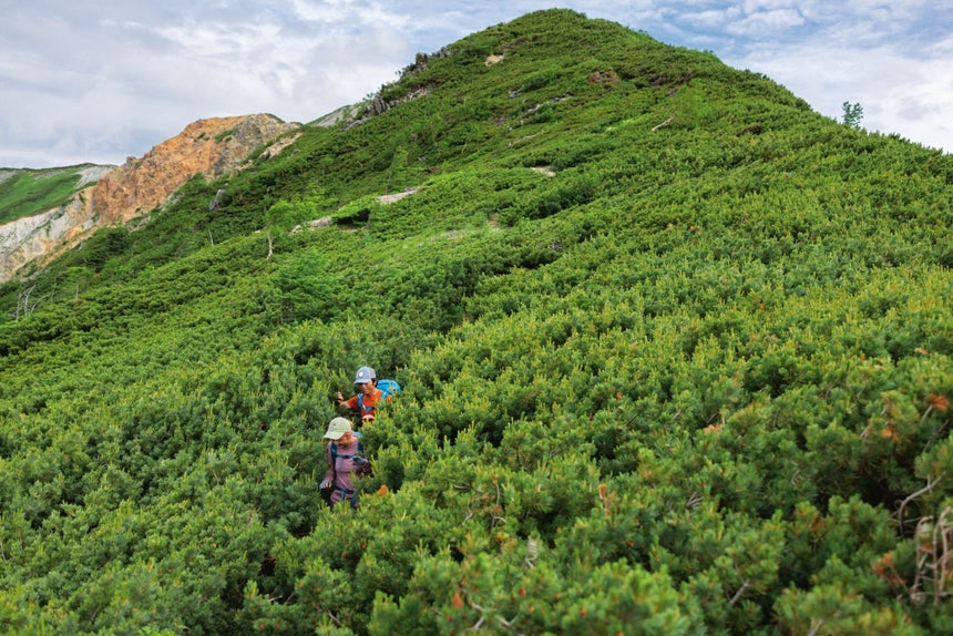 Outdoor Everyday Short Femme#ShortsPatagonia