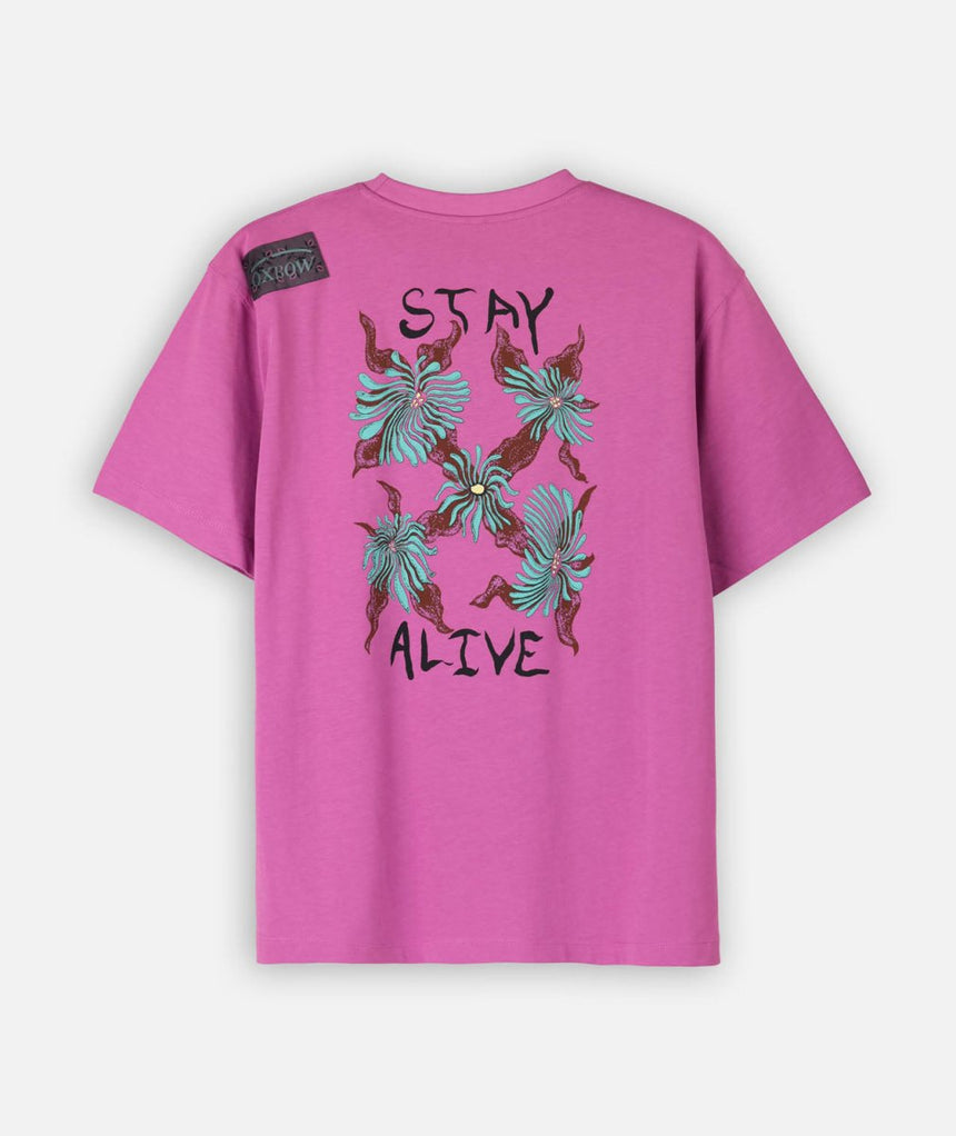 R2BOTANY T Shirts FemmeTee ShirtsOxbow