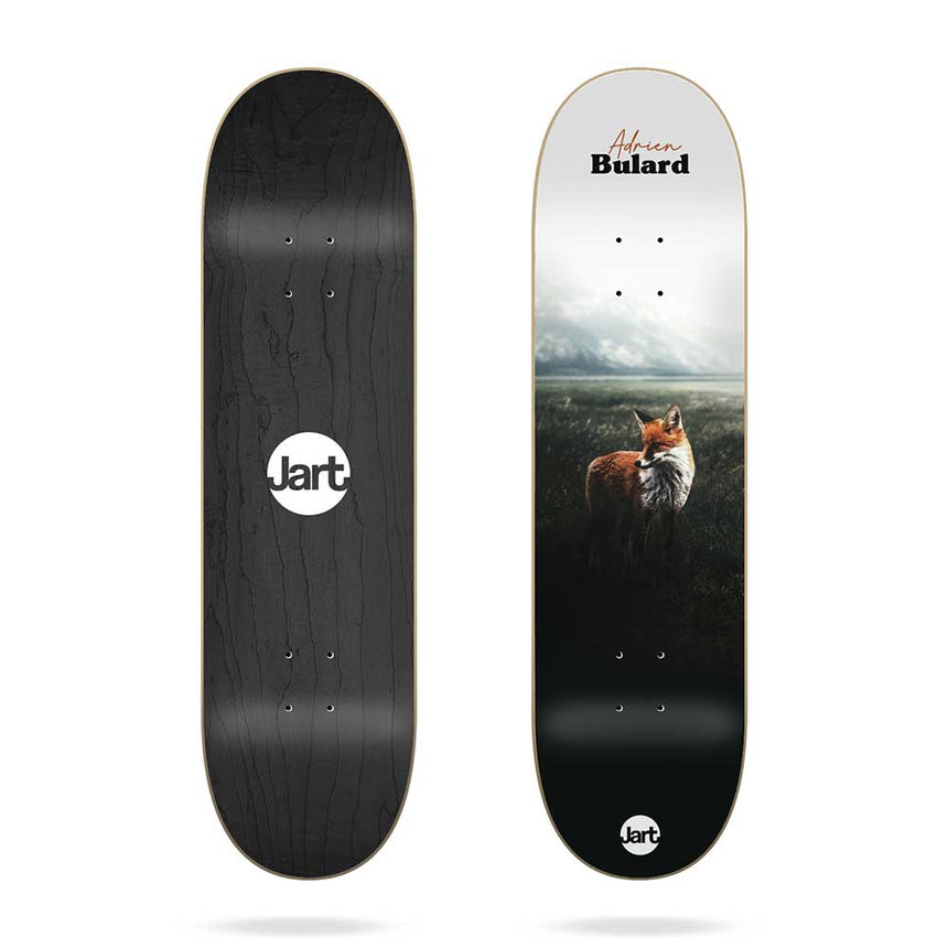 RED FOX planche de skate 8.125Skateboard StreetJart