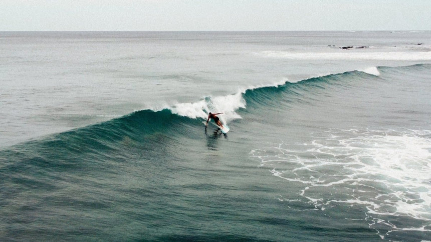 Roger Hinds Renaissance 10'0" - Planche De Surf LongboardLongboardRoger Hinds Surfboards
