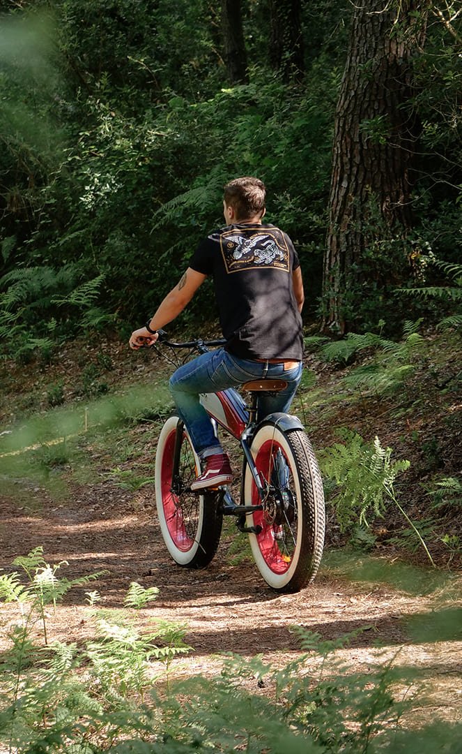 Voltaway Cyclone Vélo Électrique Harleem#Voltaway