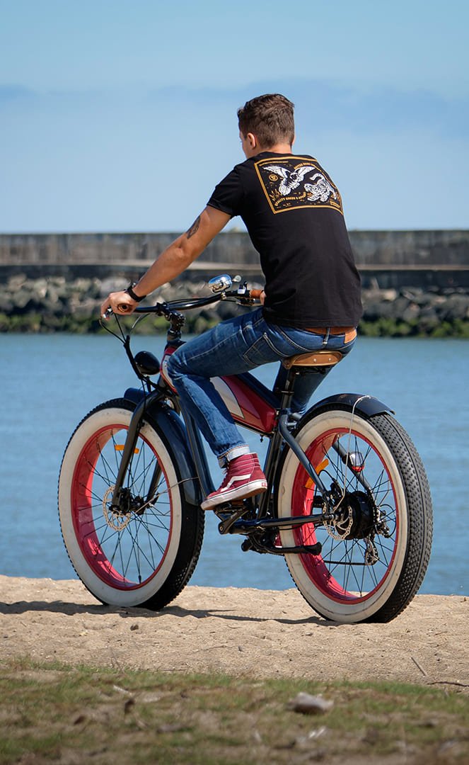 Voltaway Cyclone Vélo Électrique Harleem#Voltaway