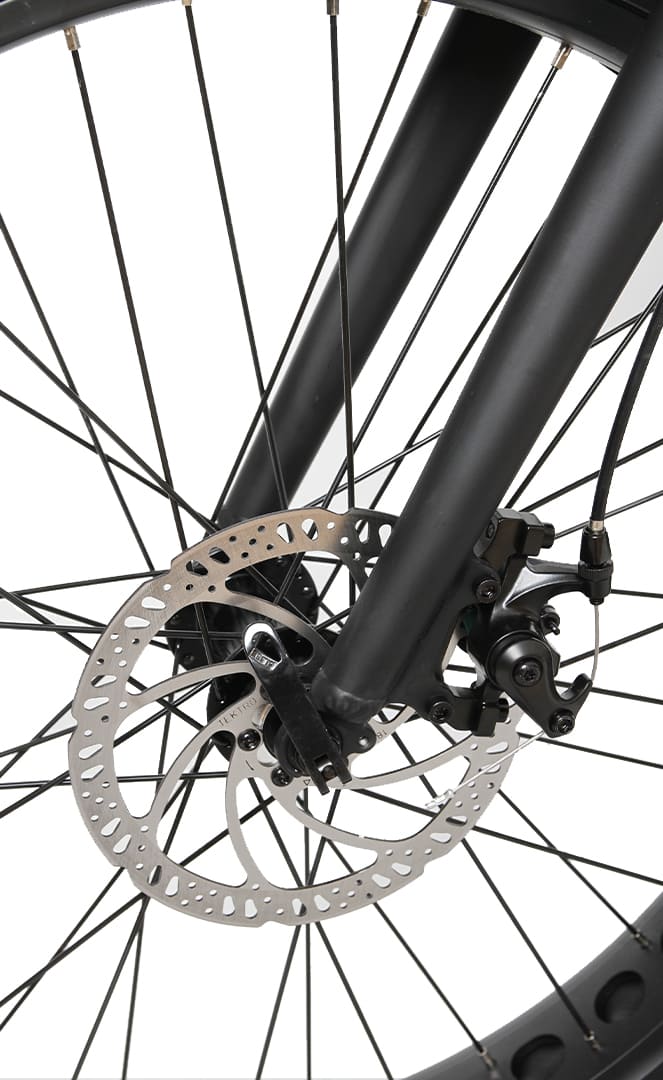 Voltaway Wild Beast FatBike ElectriqueVoltaway