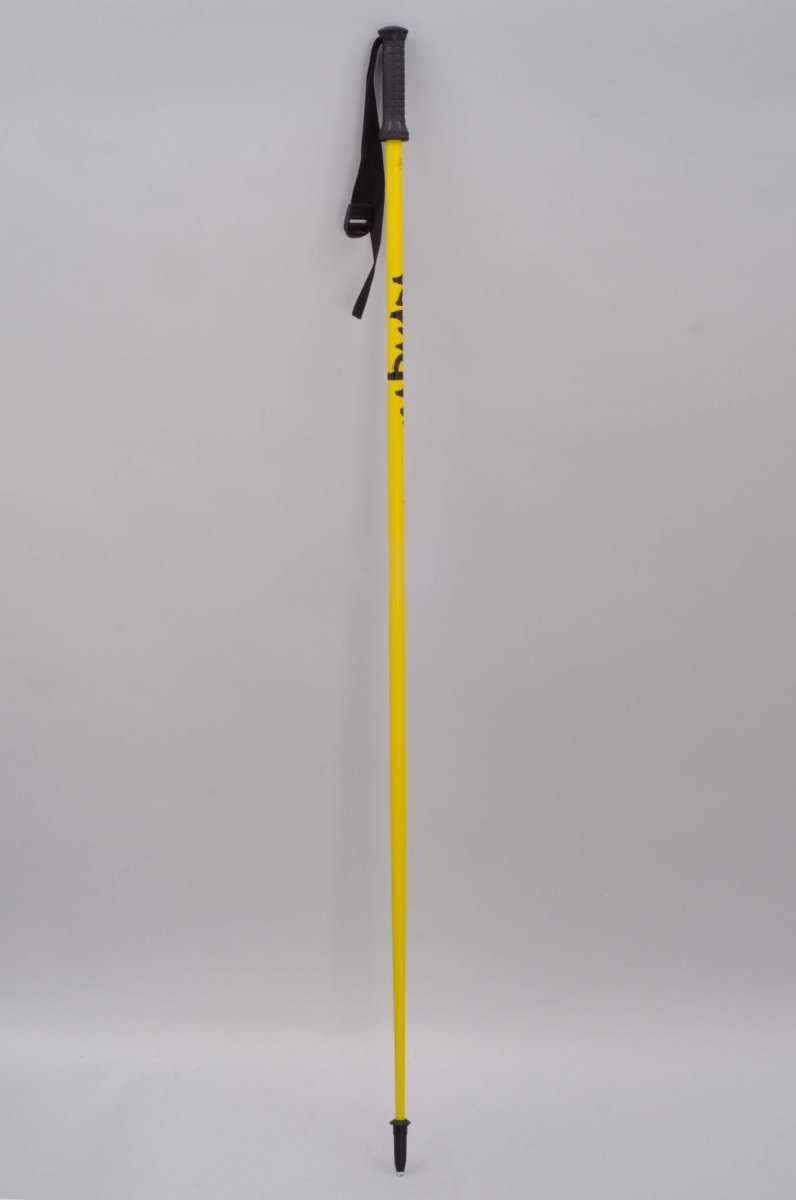 Motive Bâtons De Ski#Batons SkiArmada