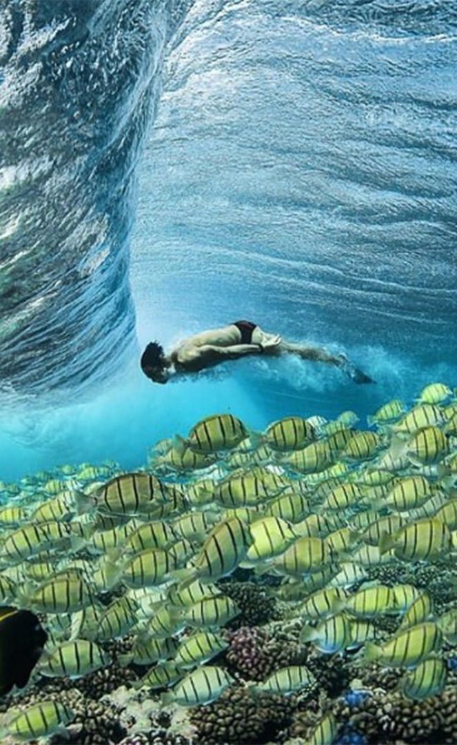 Pro Classic Palmes Bodyboard#Swim FinsDafin