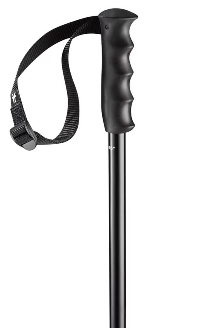 Prodigy batons de ski#Batons SkiFaction