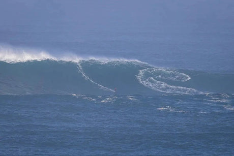 Belharra : Le réveil spectaculaire de la vague mythique en Janvier 2025 - HawaiiSurf