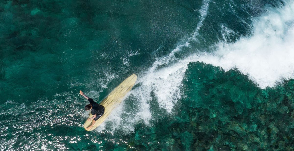 Quel type de planche de surf choisir en fonction de son niveau ? - HawaiiSurf