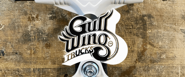 Gullwing - HawaiiSurf