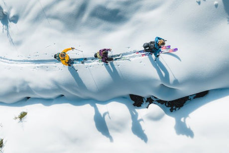 Housses Skis - HawaiiSurf