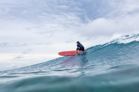 Longboards Torq - HawaiiSurf