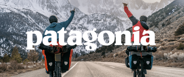 Polaires Patagonia : chaleur, confort et performance outdoor - HawaiiSurf