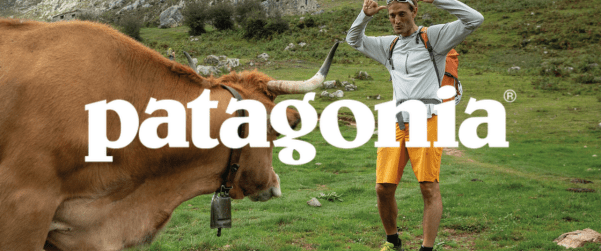 Shorts Patagonia : liberté de mouvement et esprit outdoor - HawaiiSurf