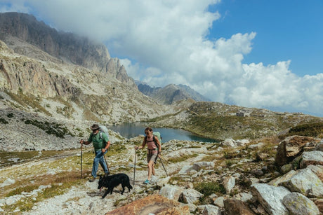 T-Shirts Patagonia - HawaiiSurf