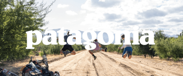 T-Shirts Patagonia : l'esprit outdoor au quotidien - HawaiiSurf