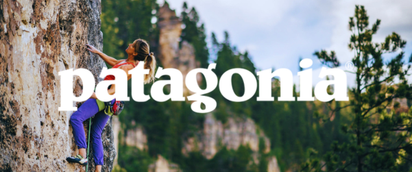 Tee-Shirts Femme Patagonia : Confort, Style & Esprit Outdoor - HawaiiSurf
