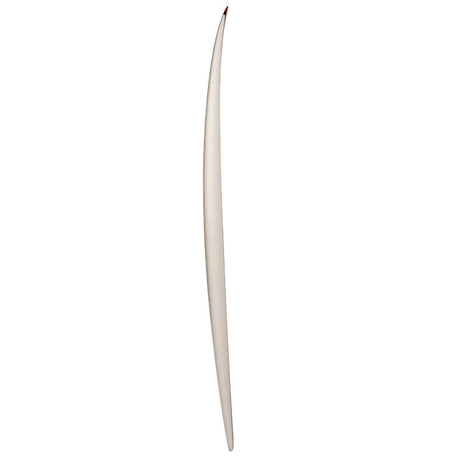 Aipa The Bone Fish - Planche De Surf Fish