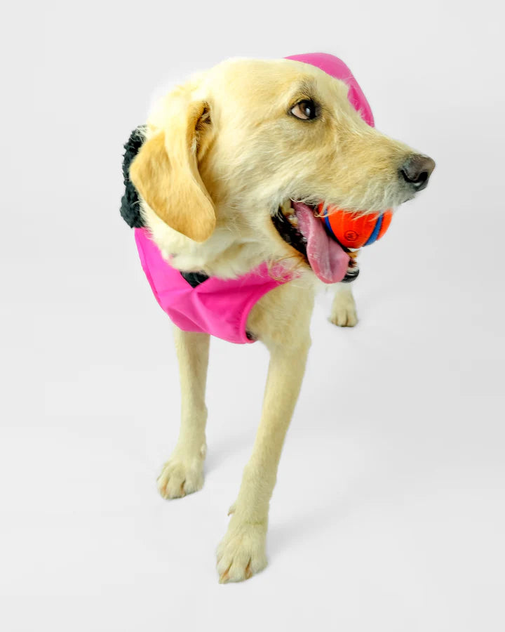 Hundemantel - Hundejacke Rosa / Schwarz
