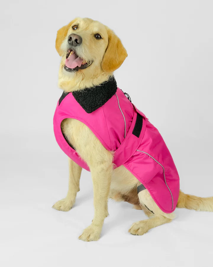 Hundemantel - Hundejacke Rosa / Schwarz