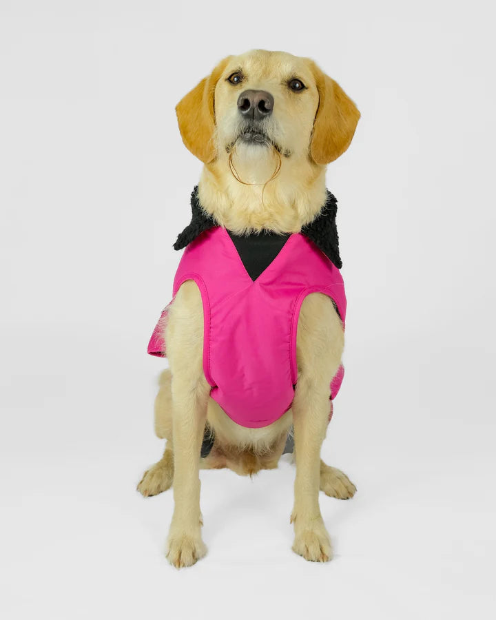Hundemantel - Hundejacke Rosa / Schwarz