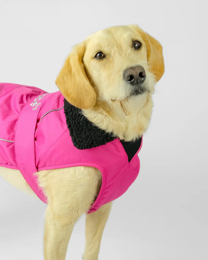 Hundemantel - Hundejacke Rosa / Schwarz